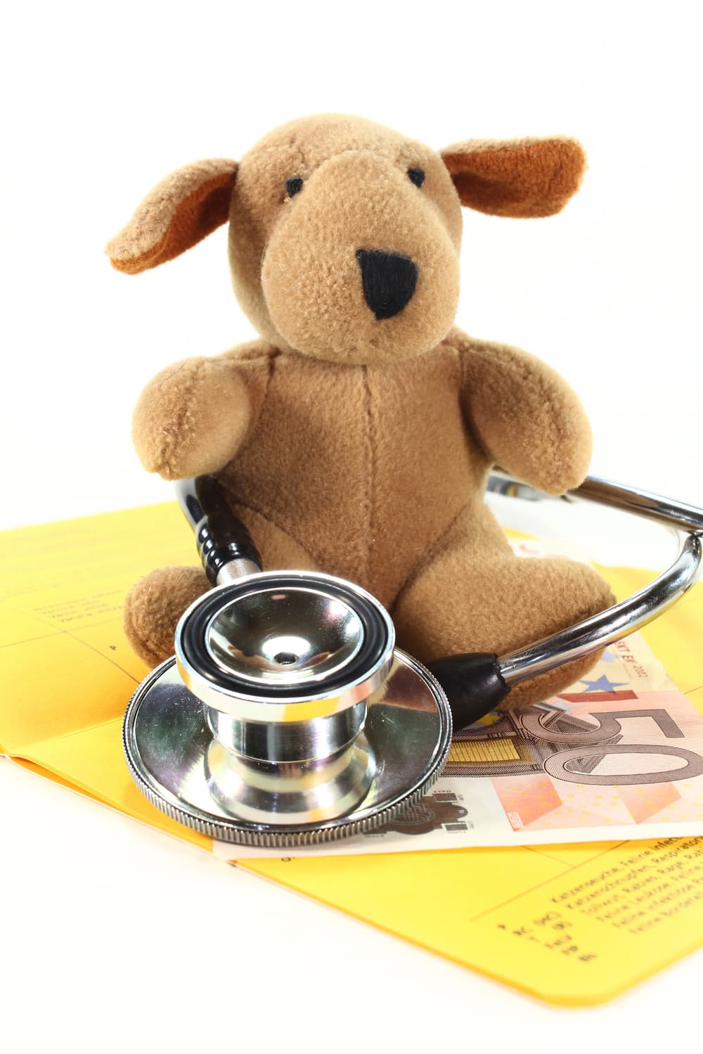 Pet Corner: come predisporre un Dossier
