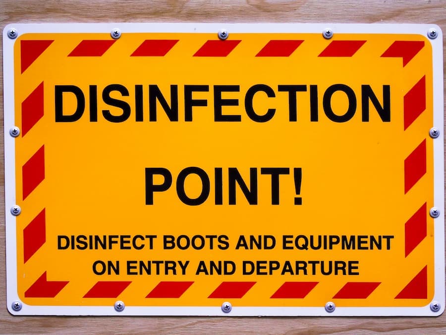 5 disinfettanti alla prova