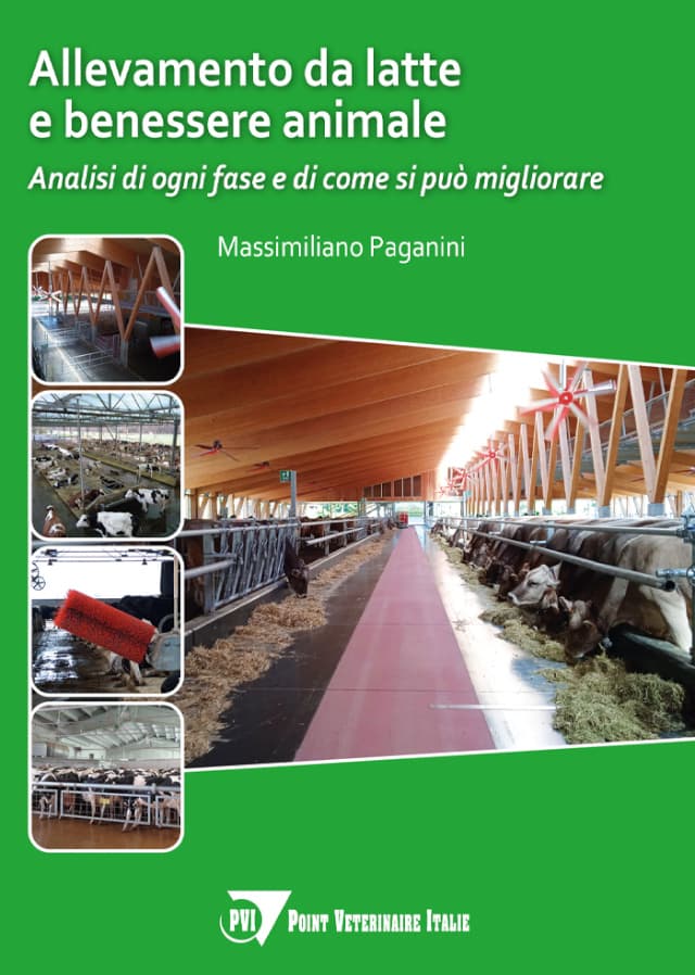 Allevamento da latte e benessere animale – Analisi di ogni fase e di come si può migliorare