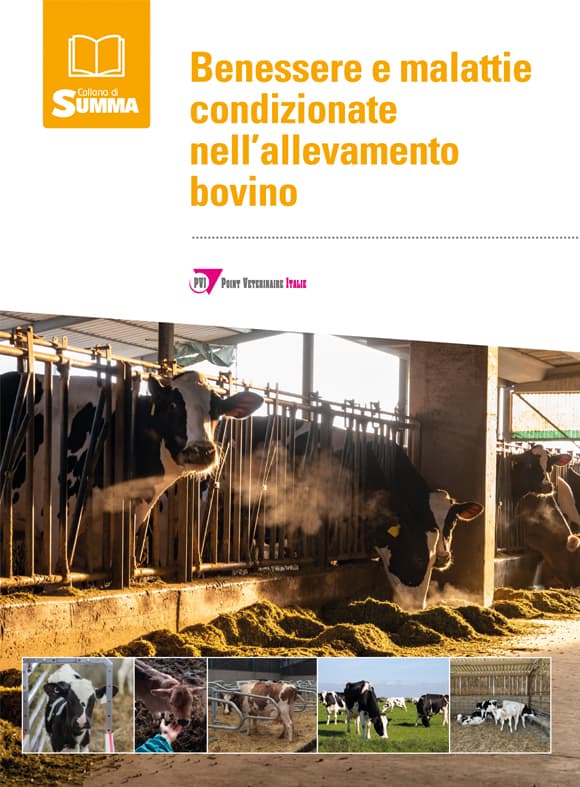 Benessere e malattie condizionate nell’allevamento bovino