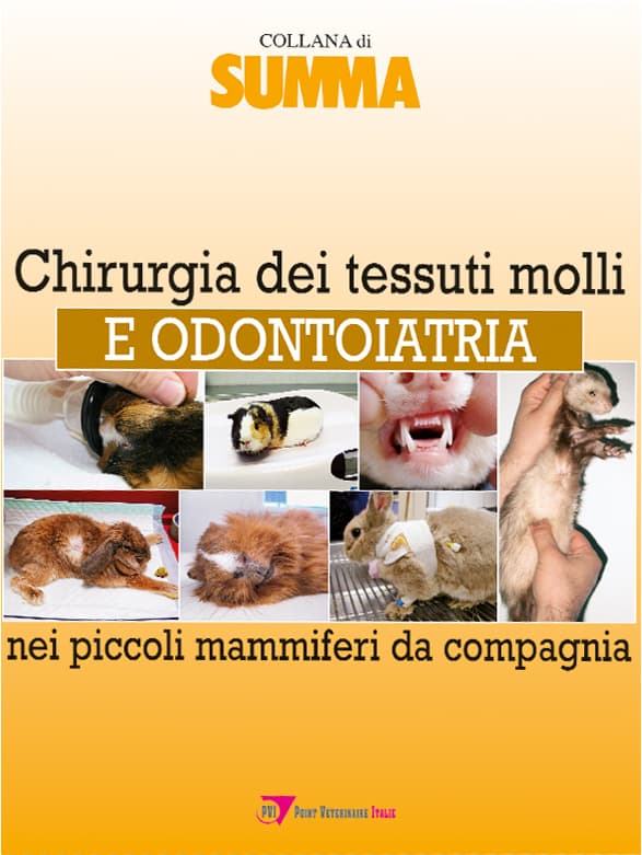 Chirurgia dei tessuti molli e odontoiatria nei piccoli mammiferi da compagnia