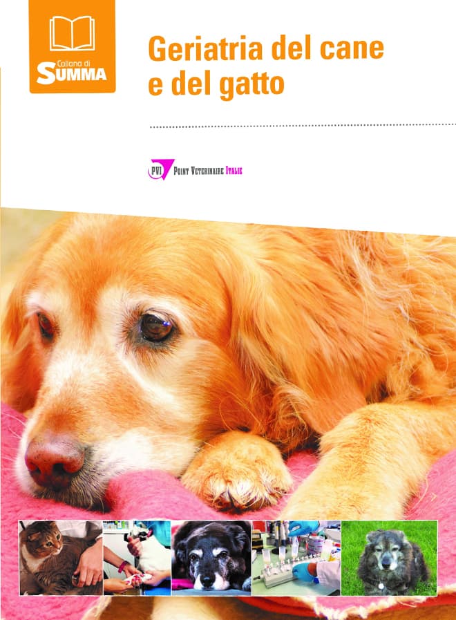 Geriatria del cane e del gatto