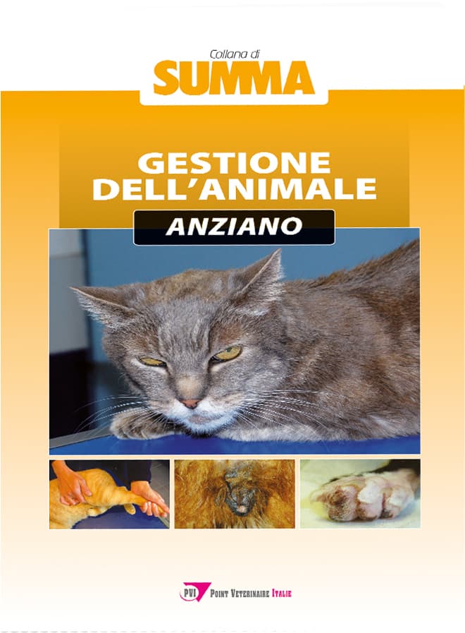 Gestione dell’animale anziano