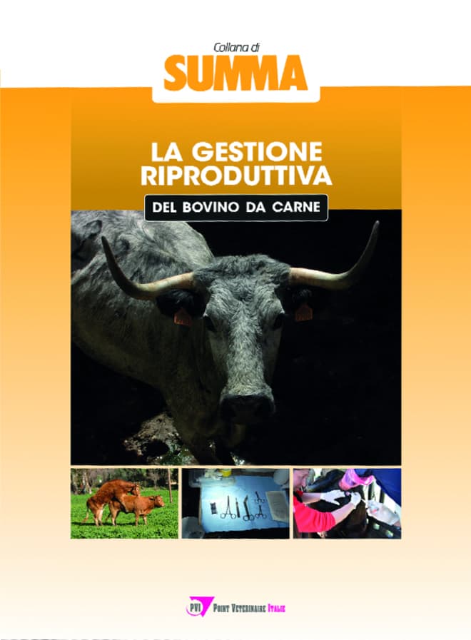 La gestione riproduttiva del bovino da carne