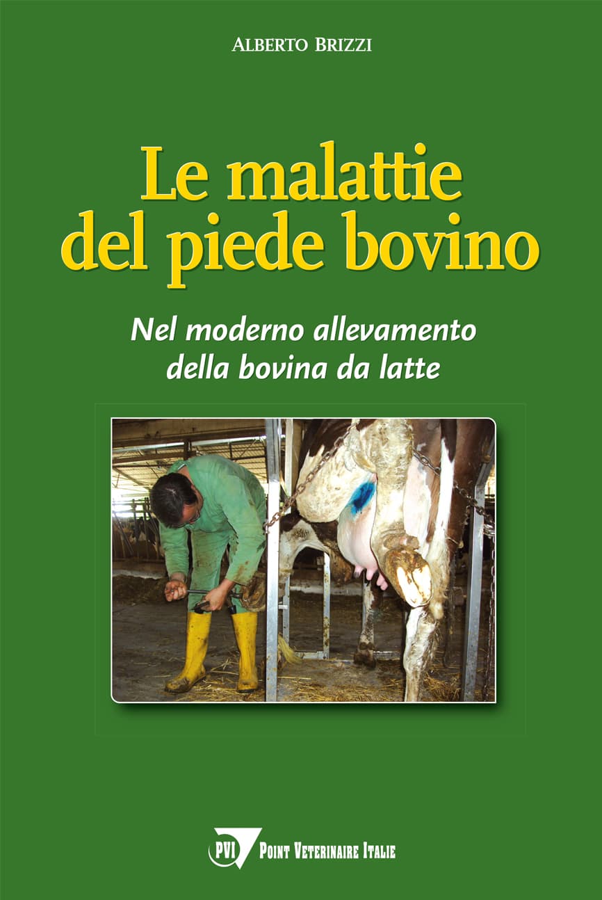 Le malattie del piede bovino nel moderno allevamento della bovina da latte