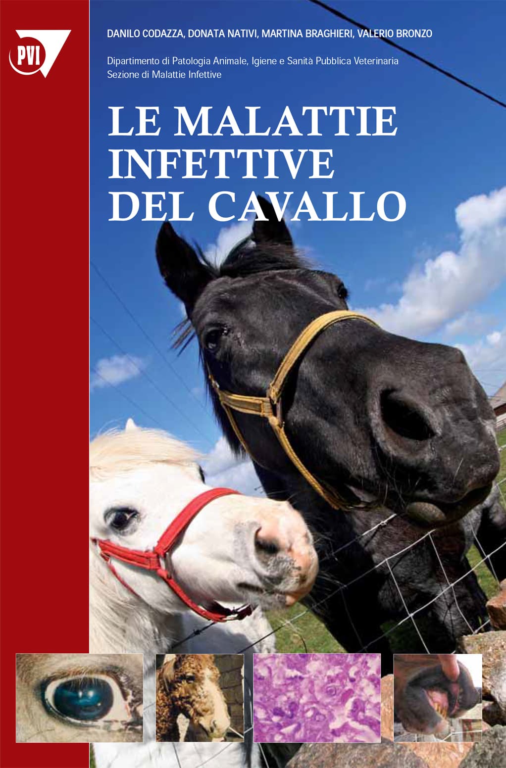 Le malattie infettive del cavallo