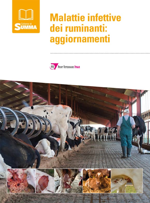 Le malattie infettive dei ruminanti: aggiornamenti