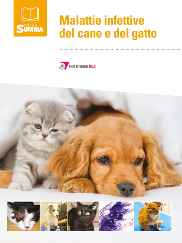 Malattie infettive del cane e del gatto