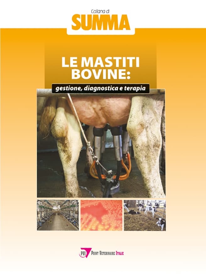 Le mastiti bovine. Gestione, diagnostica e terapia