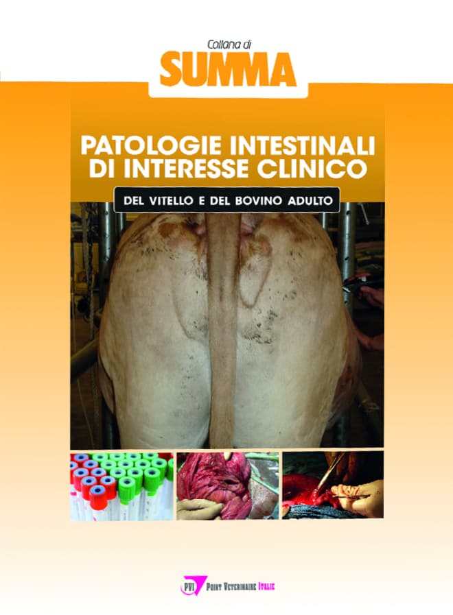 Patologie intestinali di interesse clinico