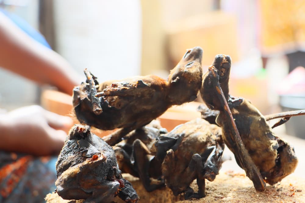 La crescita del bushmeat: il commercio illegale di carni