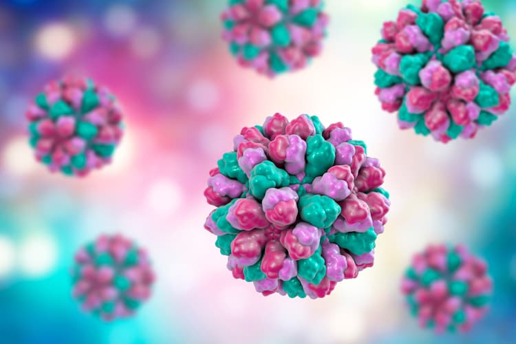 Norovirus nelle food-borne disease