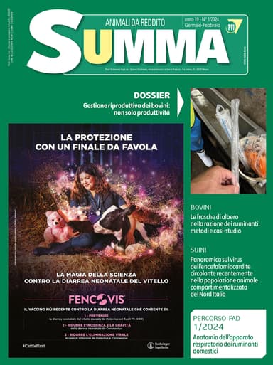 SUMMA Animali da reddito