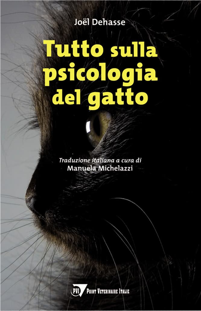 Tutto sulla psicologia del gatto
