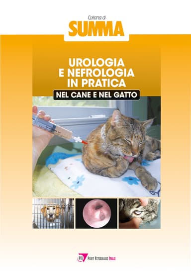 Urologia e nefrologia in pratica nel cane e nel gatto