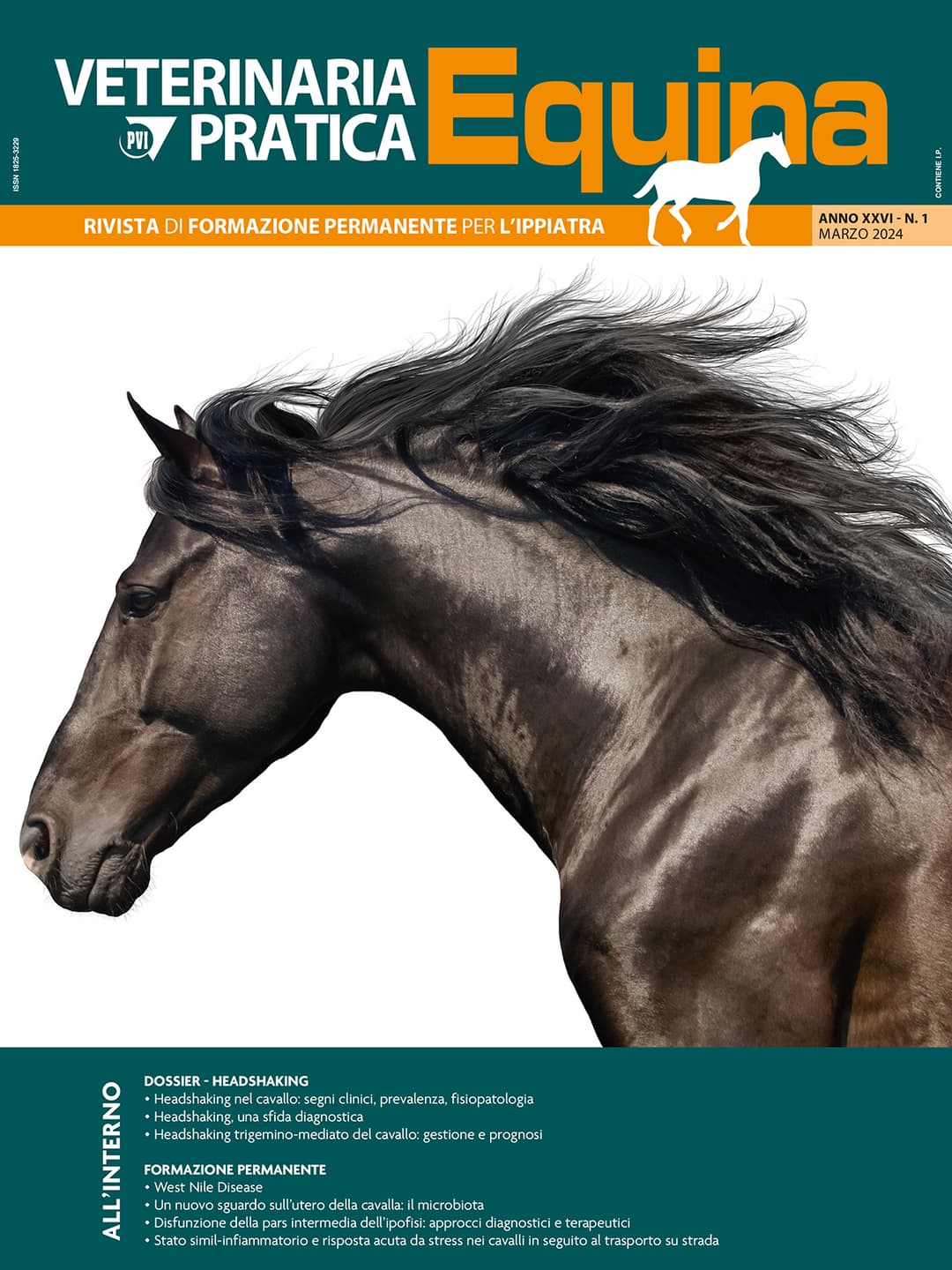 Veterinaria Pratica Equina