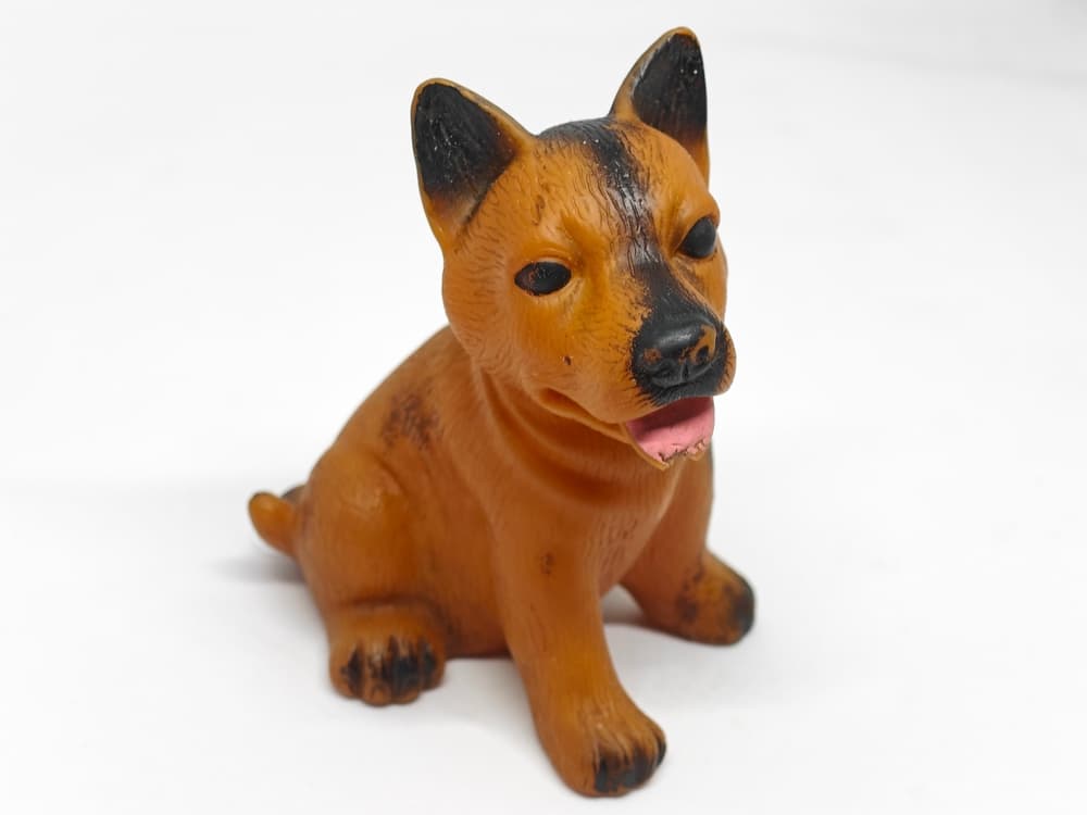 Simulatori: una nuova realtà in medicina veterinaria