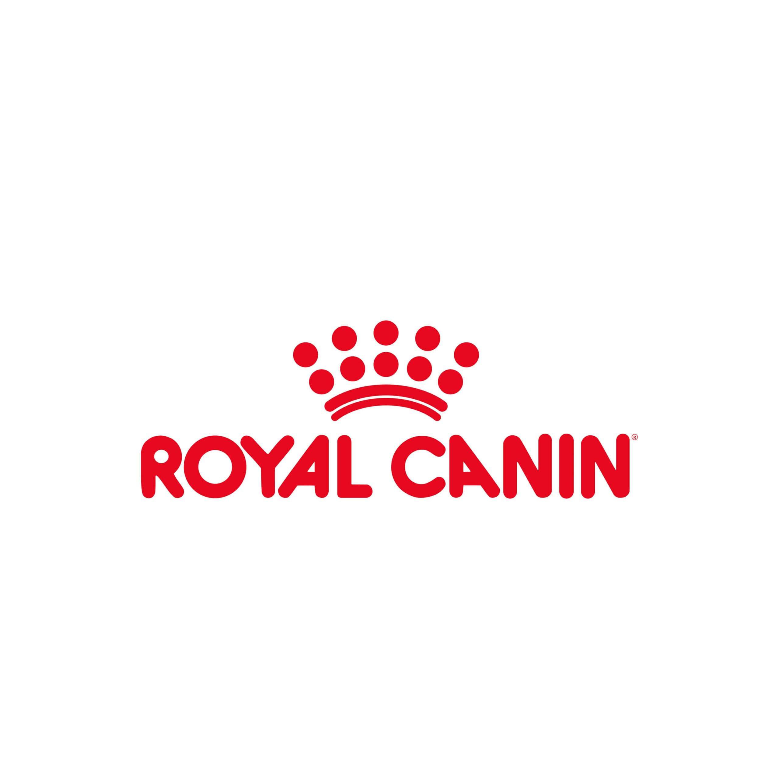 Il progetto dell’onlus Frida’s Friends con Fondazione Royal Canin ha aiutato con la cat therapy oltre 1000 pazienti pediatrici a Milano