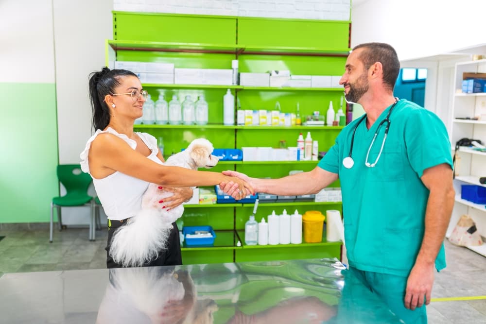 Protocolli di comunicazione: come, perché e quali usare per ottimizzare la gestione dei clienti