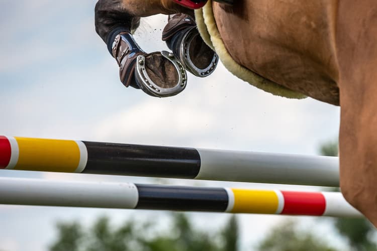 Il cavallo sportivo: gestione clinica e test