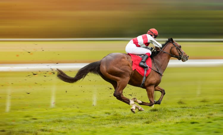 Cavallo sportivo ed etologia: l’importanza nel riconoscimento del sovrallenamento e del dolore subclinico