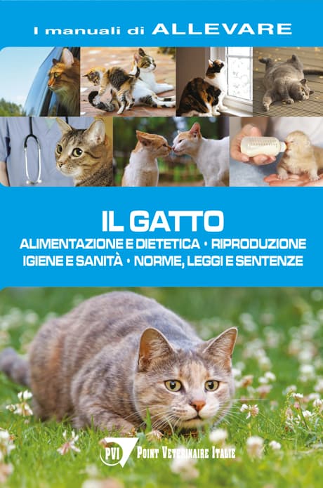 Il gatto | Alimentazione e dietetica – riproduzione – igiene e sanità – norme, leggi e sentenze