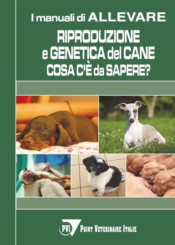 Riproduzione e genetica del cane: cosa c’è da sapere
