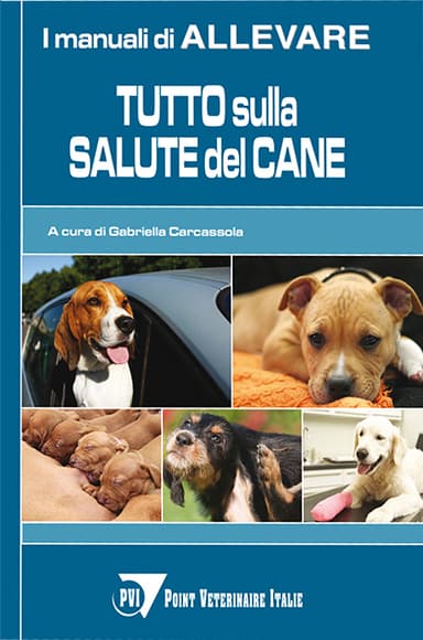 Tutto sulla salute del cane